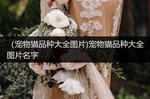 （寵物貓品種大全圖片)寵物貓品種大全圖片名字