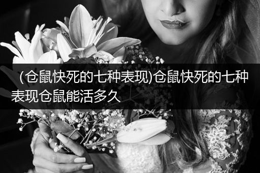 （倉鼠快死的七種表現(xiàn))倉鼠快死的七種表現(xiàn)倉鼠能活多久