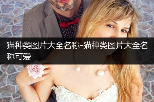 貓種類圖片大全名稱-貓種類圖片大全名稱可愛