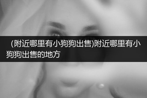 （附近哪里有小狗狗出售)附近哪里有小狗狗出售的地方