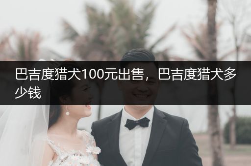 巴吉度獵犬100元出售，巴吉度獵犬多少錢