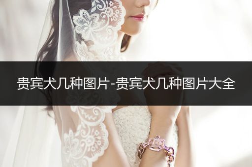 貴賓犬幾種圖片-貴賓犬幾種圖片大全