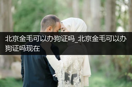 北京金毛可以辦狗證嗎_北京金毛可以辦狗證嗎現(xiàn)在