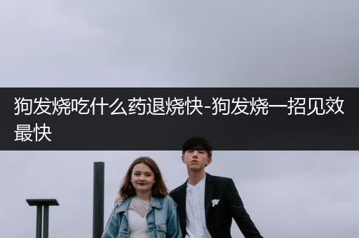 狗發(fā)燒吃什么藥退燒快-狗發(fā)燒一招見效最快