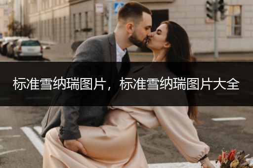 標(biāo)準(zhǔn)雪納瑞圖片，標(biāo)準(zhǔn)雪納瑞圖片大全