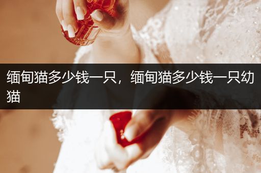 緬甸貓多少錢(qián)一只，緬甸貓多少錢(qián)一只幼貓