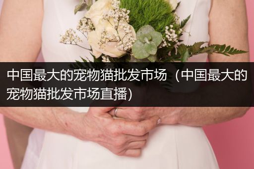 中國最大的寵物貓批發(fā)市場（中國最大的寵物貓批發(fā)市場直播）