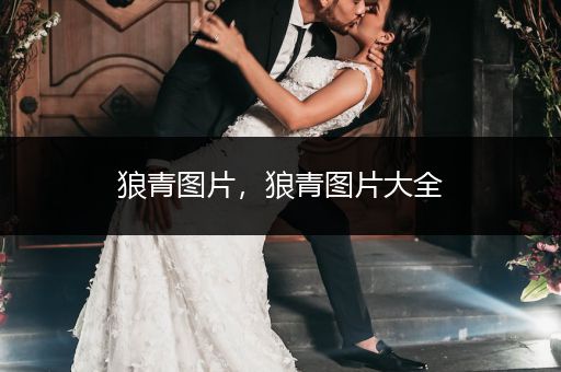 狼青圖片，狼青圖片大全