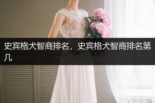 史賓格犬智商排名，史賓格犬智商排名第幾