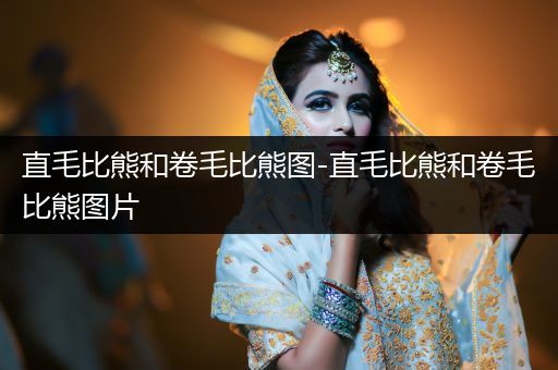 直毛比熊和卷毛比熊圖-直毛比熊和卷毛比熊圖片