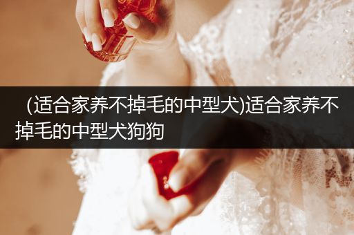 （適合家養(yǎng)不掉毛的中型犬)適合家養(yǎng)不掉毛的中型犬狗狗