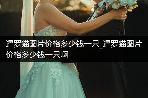 暹羅貓圖片價(jià)格多少錢一只_暹羅貓圖片價(jià)格多少錢一只啊