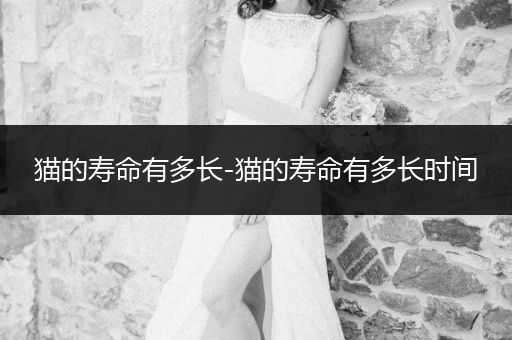 貓的壽命有多長-貓的壽命有多長時(shí)間