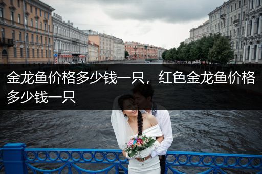 金龍魚價(jià)格多少錢一只，紅色金龍魚價(jià)格多少錢一只