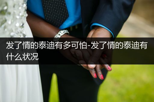 發(fā)了情的泰迪有多可怕-發(fā)了情的泰迪有什么狀況