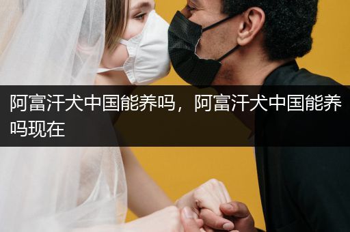 阿富汗犬中國(guó)能養(yǎng)嗎，阿富汗犬中國(guó)能養(yǎng)嗎現(xiàn)在