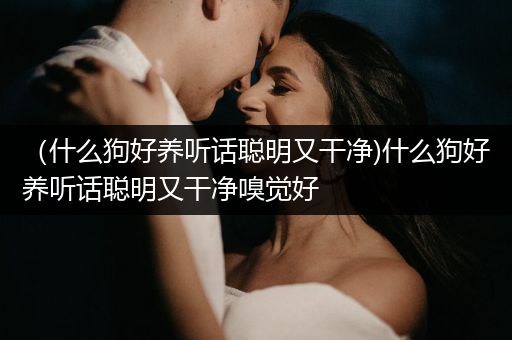 （什么狗好養(yǎng)聽(tīng)話聰明又干凈)什么狗好養(yǎng)聽(tīng)話聰明又干凈嗅覺(jué)好