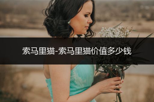 索馬里貓-索馬里貓價值多少錢