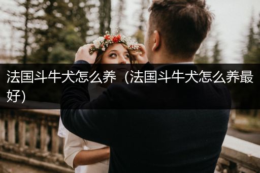 法國(guó)斗牛犬怎么養(yǎng)（法國(guó)斗牛犬怎么養(yǎng)最好）