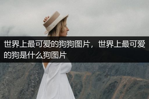 世界上最可愛的狗狗圖片，世界上最可愛的狗是什么狗圖片
