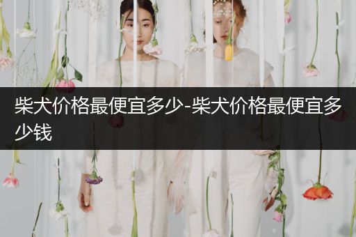 柴犬價(jià)格最便宜多少-柴犬價(jià)格最便宜多少錢