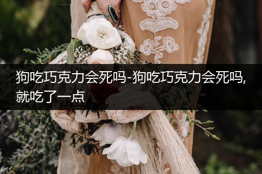 狗吃巧克力會死嗎-狗吃巧克力會死嗎,就吃了一點(diǎn)