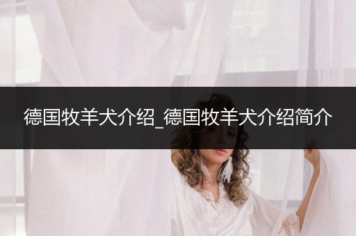 德國(guó)牧羊犬介紹_德國(guó)牧羊犬介紹簡(jiǎn)介