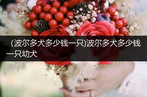 （波爾多犬多少錢一只)波爾多犬多少錢一只幼犬