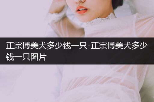 正宗博美犬多少錢(qián)一只-正宗博美犬多少錢(qián)一只圖片