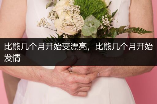 比熊幾個月開始變漂亮，比熊幾個月開始發(fā)情