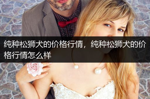 純種松獅犬的價(jià)格行情，純種松獅犬的價(jià)格行情怎么樣