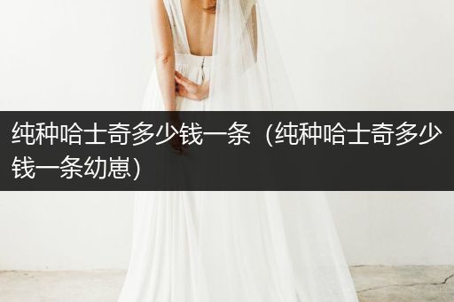 純種哈士奇多少錢一條（純種哈士奇多少錢一條幼崽）