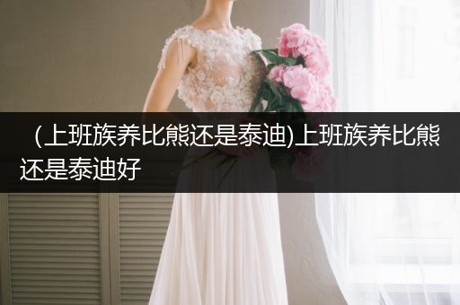 （上班族養(yǎng)比熊還是泰迪)上班族養(yǎng)比熊還是泰迪好