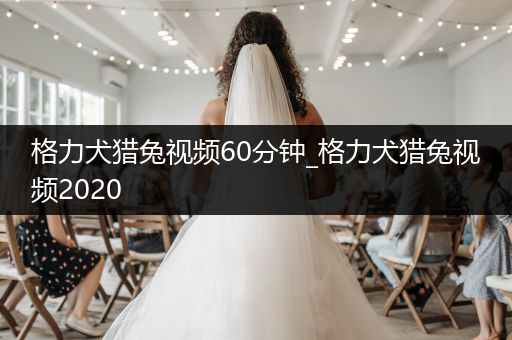 格力犬獵兔視頻60分鐘_格力犬獵兔視頻2020