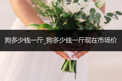 狗多少錢一斤_狗多少錢一斤現(xiàn)在市場(chǎng)價(jià)