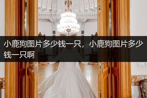 小鹿狗圖片多少錢(qián)一只，小鹿狗圖片多少錢(qián)一只啊