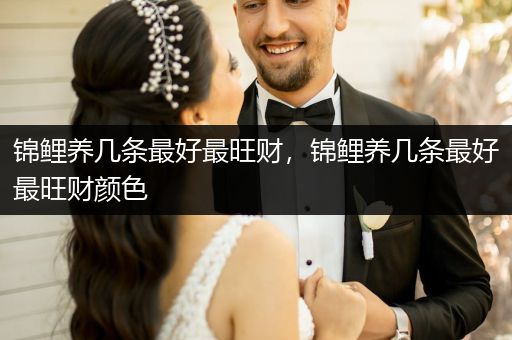 錦鯉養(yǎng)幾條最好最旺財(cái)，錦鯉養(yǎng)幾條最好最旺財(cái)顏色