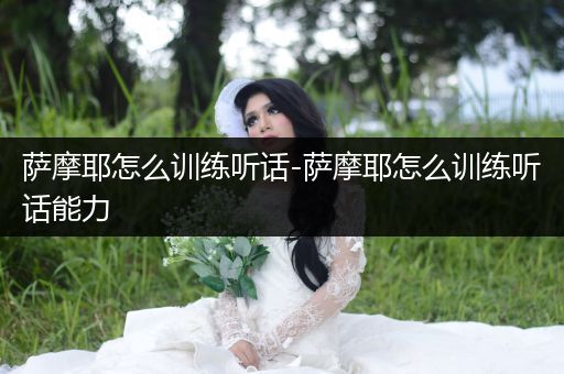 薩摩耶怎么訓(xùn)練聽(tīng)話-薩摩耶怎么訓(xùn)練聽(tīng)話能力