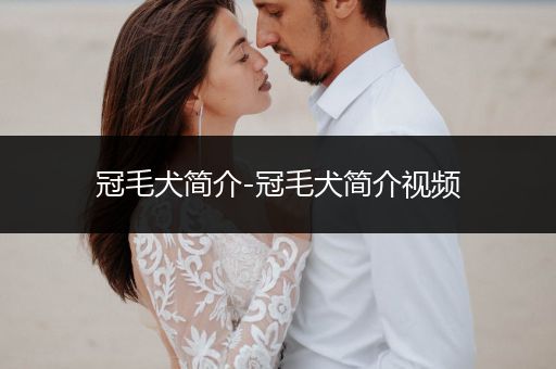 冠毛犬簡(jiǎn)介-冠毛犬簡(jiǎn)介視頻