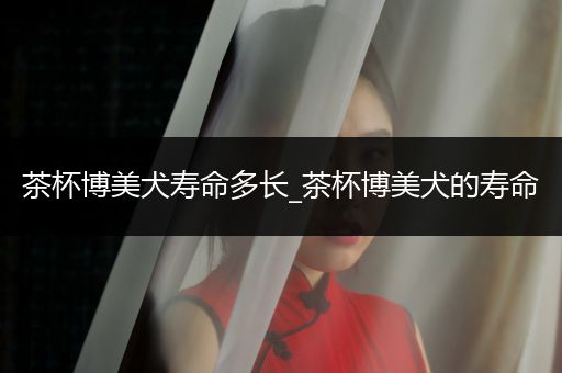 茶杯博美犬壽命多長(zhǎng)_茶杯博美犬的壽命