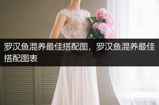 羅漢魚(yú)混養(yǎng)最佳搭配圖，羅漢魚(yú)混養(yǎng)最佳搭配圖表