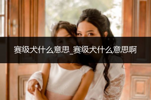 賽級犬什么意思_賽級犬什么意思啊