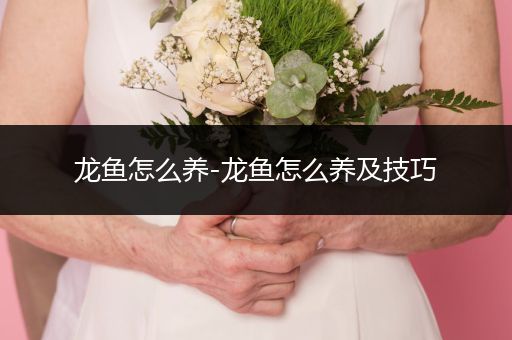 龍魚(yú)怎么養(yǎng)-龍魚(yú)怎么養(yǎng)及技巧