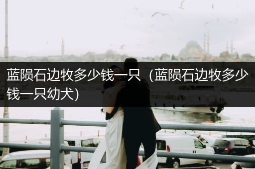 藍(lán)隕石邊牧多少錢一只（藍(lán)隕石邊牧多少錢一只幼犬）