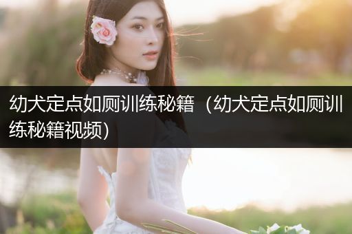 幼犬定點如廁訓練秘籍（幼犬定點如廁訓練秘籍視頻）