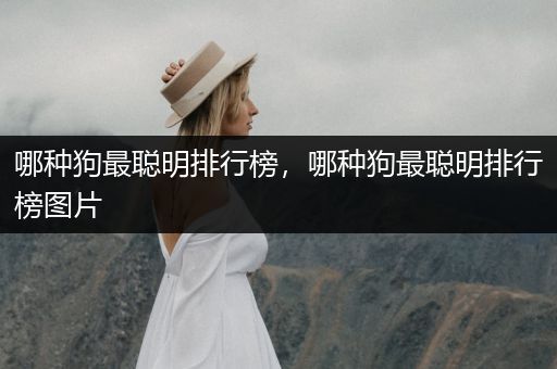 哪種狗最聰明排行榜，哪種狗最聰明排行榜圖片