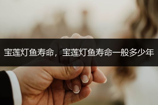 寶蓮燈魚壽命，寶蓮燈魚壽命一般多少年