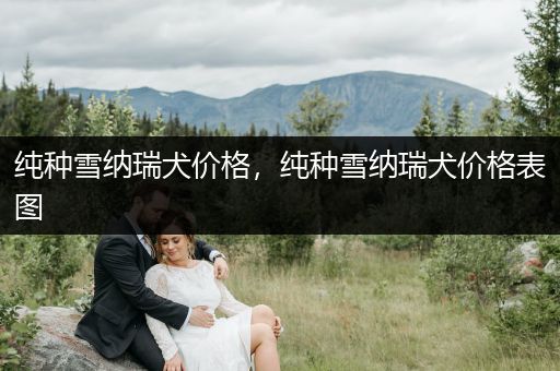 純種雪納瑞犬價格，純種雪納瑞犬價格表圖