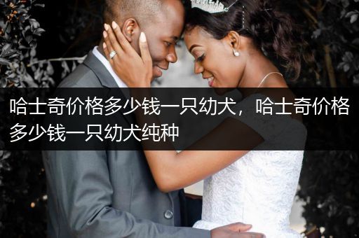 哈士奇價(jià)格多少錢一只幼犬，哈士奇價(jià)格多少錢一只幼犬純種