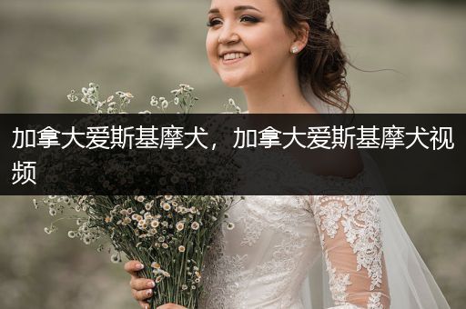 加拿大愛(ài)斯基摩犬，加拿大愛(ài)斯基摩犬視頻